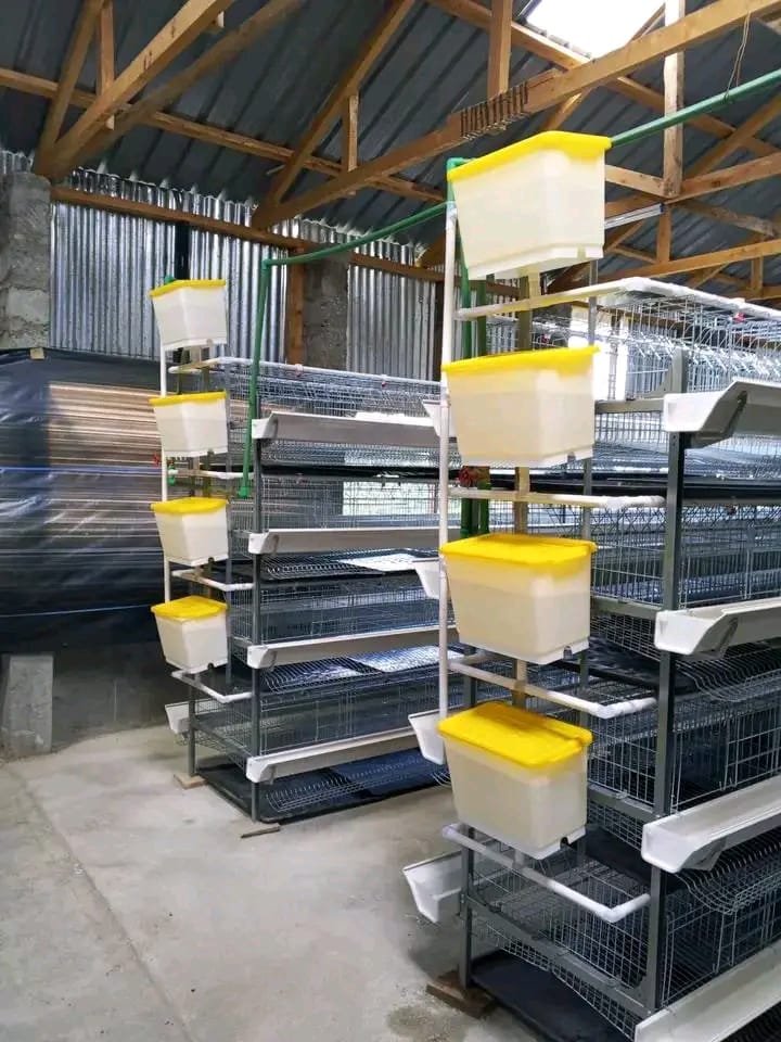 Layer cage installation